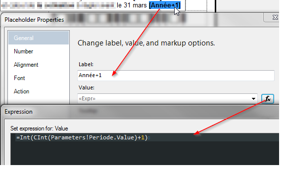 RDLC - Text Box - PlaceHolder Label