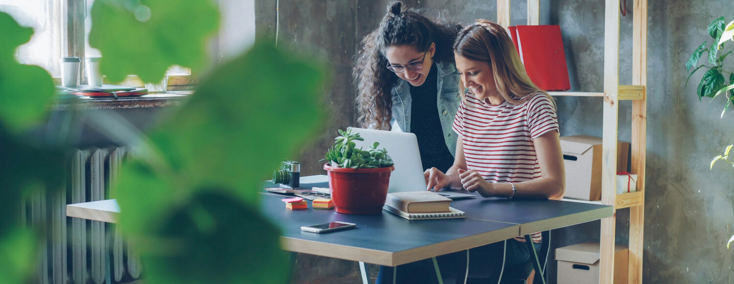 Article-Renovate-Néosoft