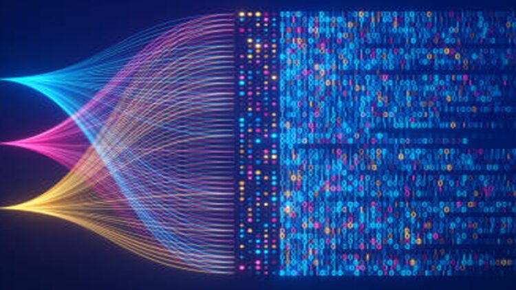 Néosoft Data Dbt header